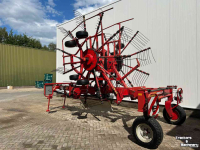 Schwader Lely Hibiscus 725 Master