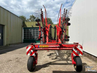 Schwader Lely Hibiscus 725 Master
