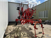 Schwader Lely Hibiscus 725 Master