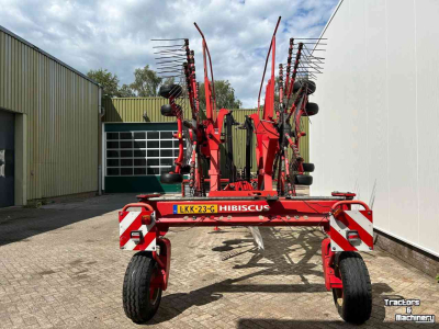 Schwader Lely Hibiscus 725 Master