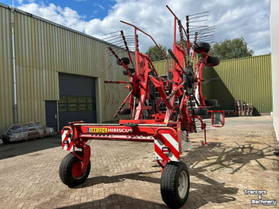 Schwader Lely Hibiscus 725 Master