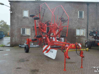 Schwader Lely hibiscus 725