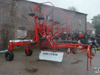 Schwader Lely hibiscus 725