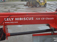 Schwader Lely hibiscus 725
