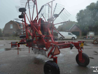 Schwader Lely hibiscus 725