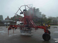 Schwader Lely hibiscus 725