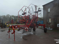 Schwader Lely hibiscus 725