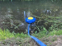 Tränkebecken Sonnenenergie Suevia Suevia Solar weidedrinkbak 600 liter , met oppervlaktepomp