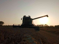 Mähdrescher Fendt 6335C