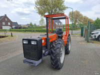 Obsttraktor Holder a60