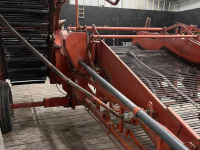 Zwiebelroder Amac F2 uienlader